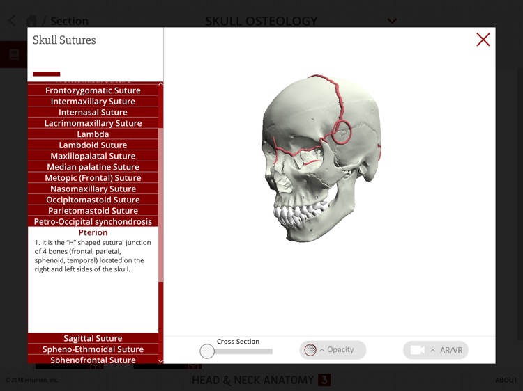 Head and Neck Anatomy 3 screenshot-3