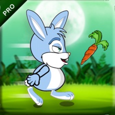 Activities of Bownesian Bunny Bounce PRO