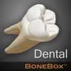 BoneBox™ - Dental Lite icon