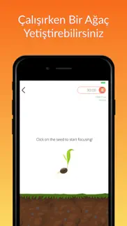 saplingy - İşinize odaklanın iphone resimleri 2