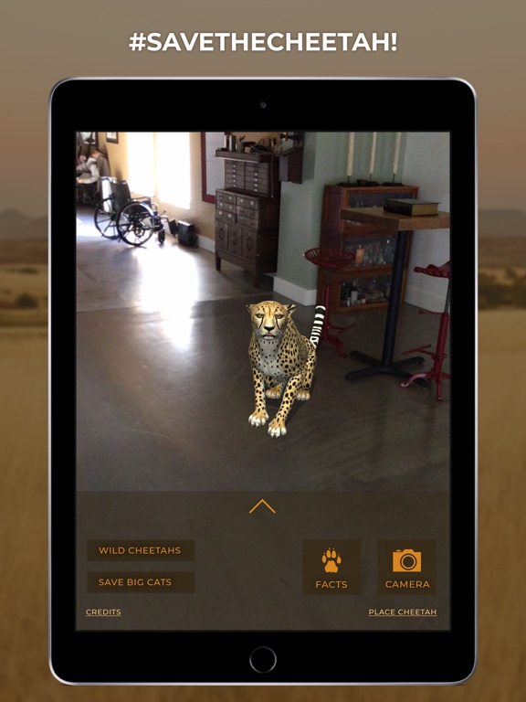 Virtual Cheetah iPad screenshot 5 - Education app