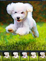 visionist ipad images 4