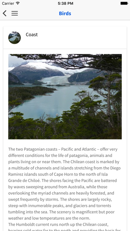 Birds of Patagonia screenshot-4