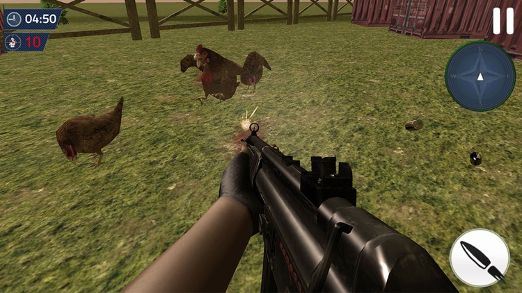 Wild Chicken Hunting 2018