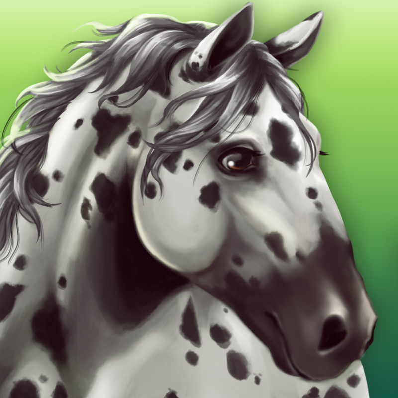 HorseHotel - Pflege die Pferde