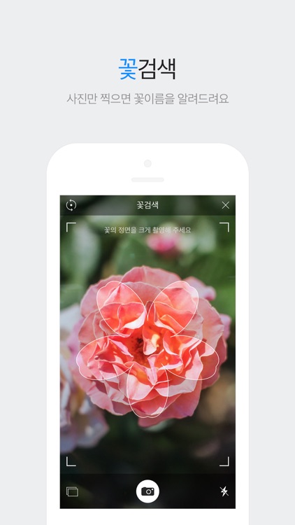 다음 - Daum