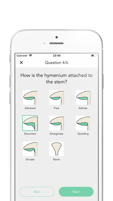 Mushy: Complete Mushroom Guideのおすすめ画像5