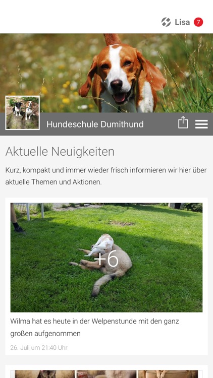 Hundeschule Dumithund