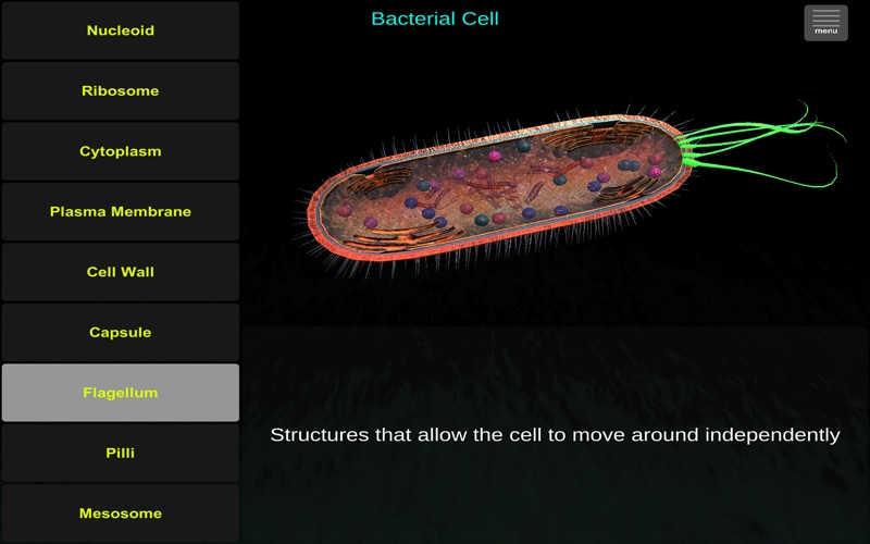 Screenshot #2 pour Cell Biology Tutor