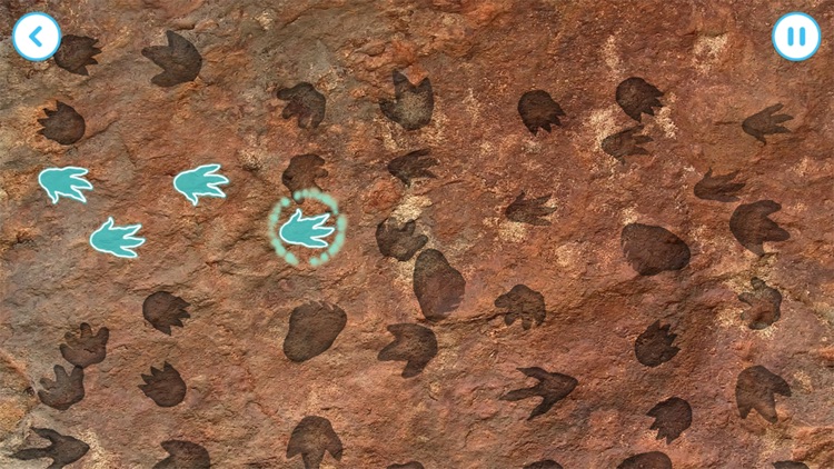 Andy's Great Fossil Hunt