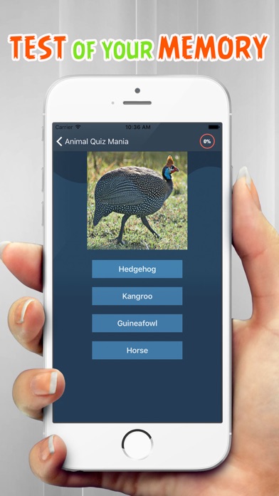 Animals Quiz Mania : Learn Animal Names screenshot 3