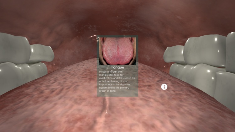 Anatomyou VR