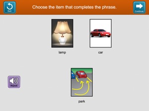 Lingraphica Device Assessment screenshot #2 for iPad