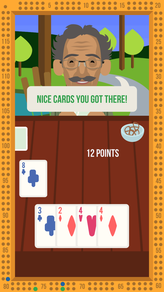#2. Cribbage With Grandpas (iOS) 由: Less Than Three Interactive