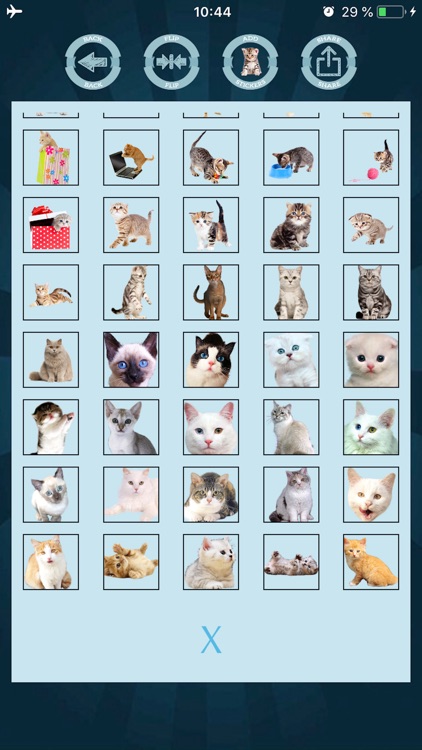 Cat face stickers filters screenshot-5