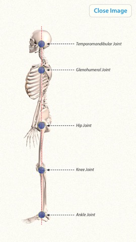 3D Yoga Anatomyのおすすめ画像5