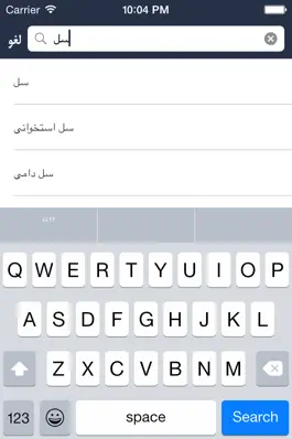 Game screenshot فرهنگ لغت هوشیار پارسی apk