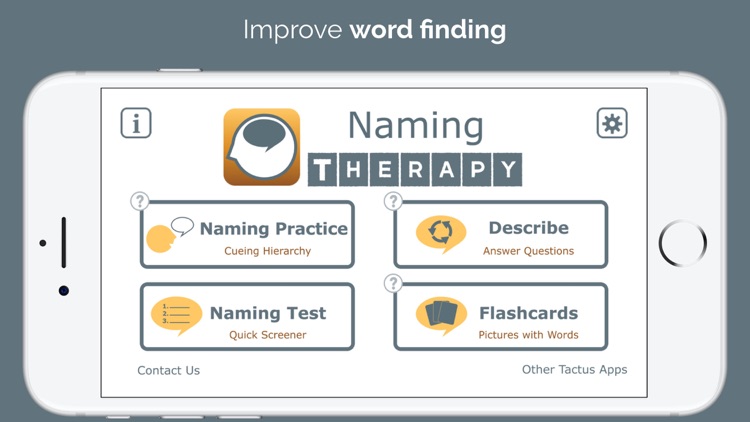 Naming Therapy