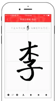 chinese dictionary hanzi problems & solutions and troubleshooting guide - 2