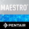 Icon Maestro Pool