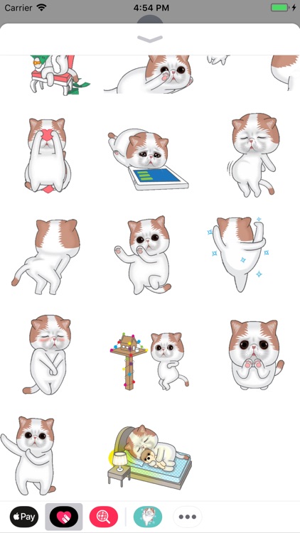 Hyper Cat Animated Stickers