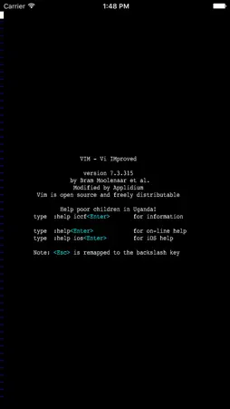 Vim screenshot 1