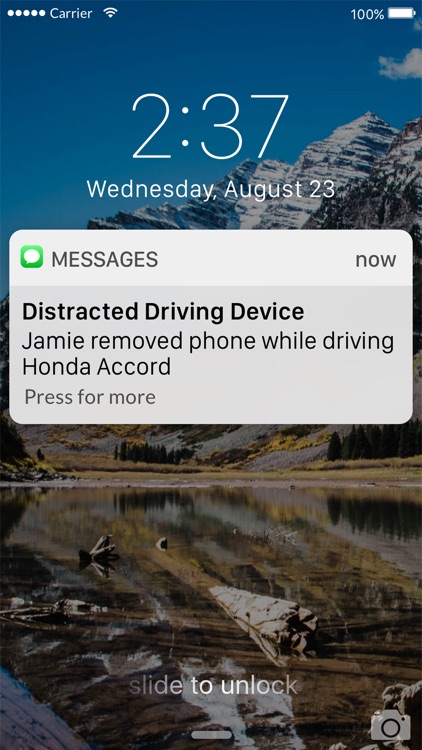 DDD Distracted Driving Device screenshot-4