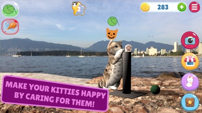 Kitty Paradise: AR Cat Care screenshot 3