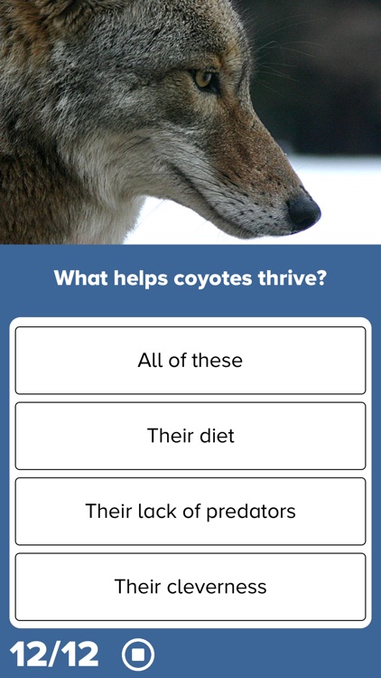 3rd Grade Reading Prep screenshot-5