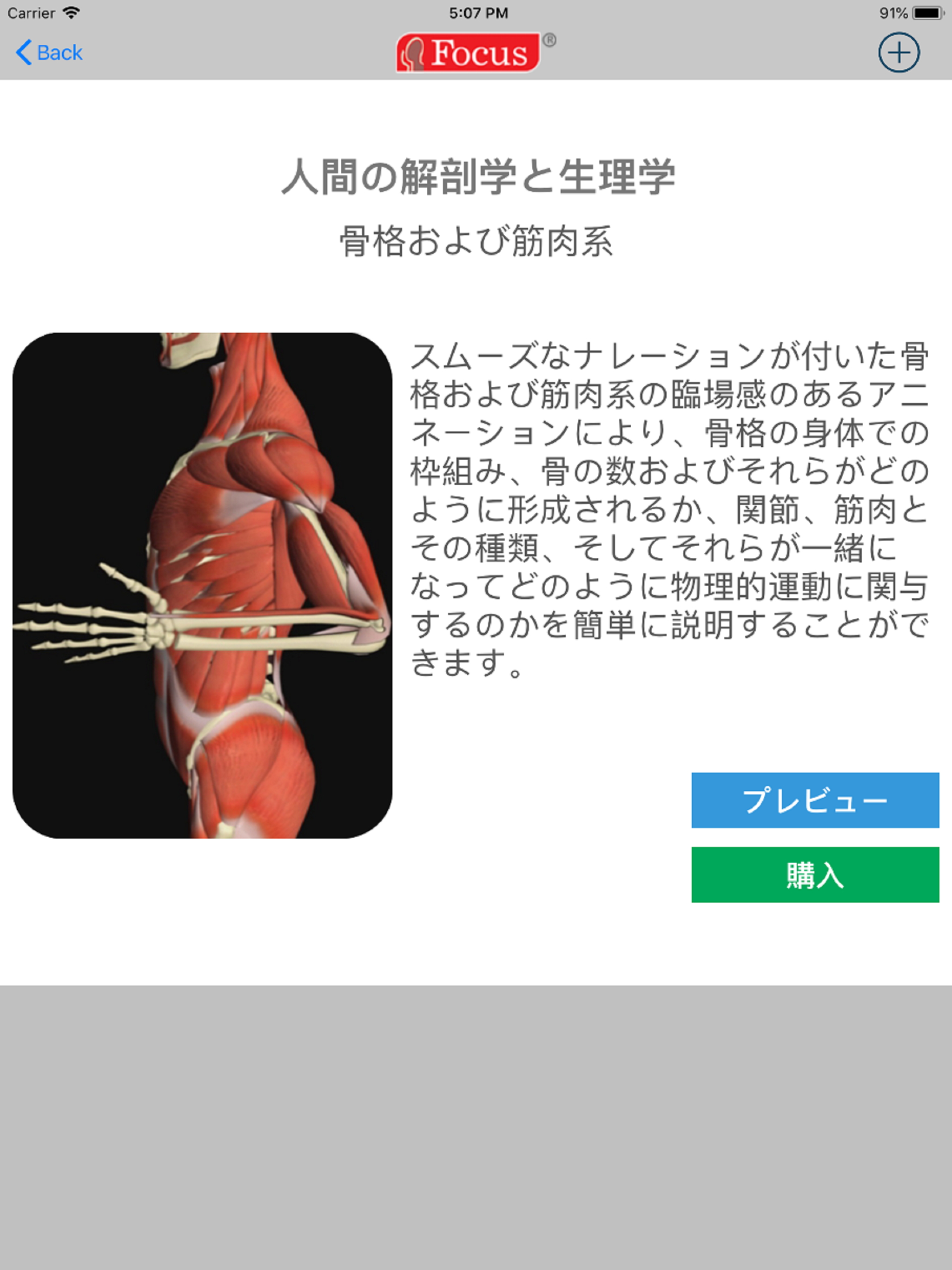 解剖学アトラス