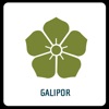 Galipor Flores