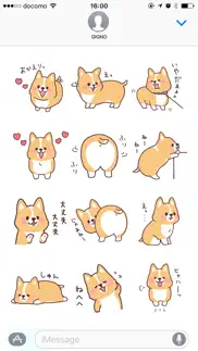 fluffy fat dog　(corgi) problems & solutions and troubleshooting guide - 3