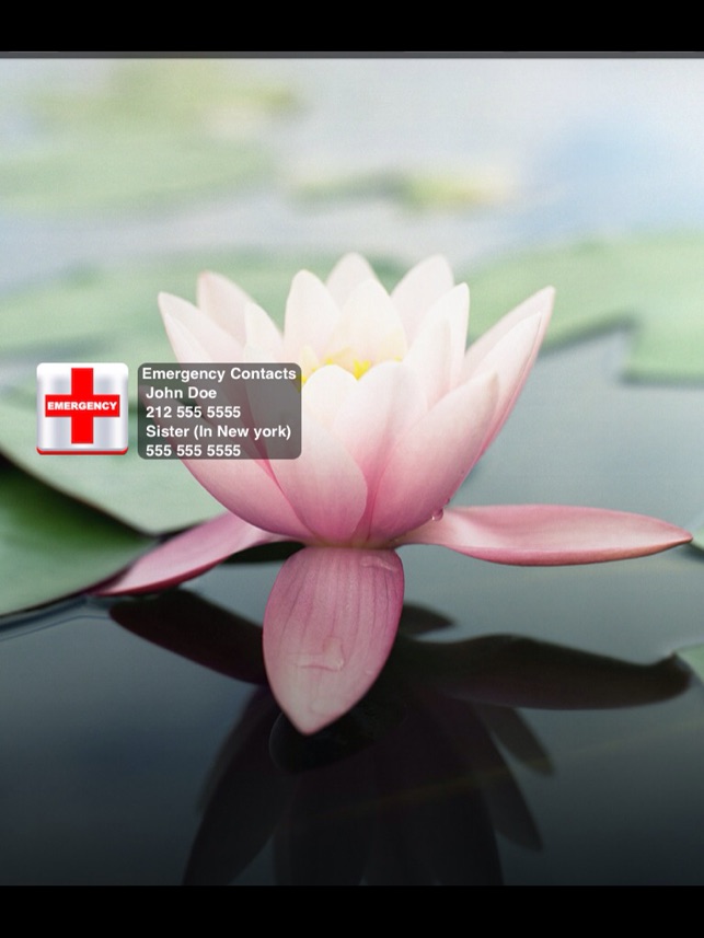 ICE for iPad(圖4)-速報App