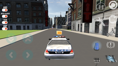 Extreme Police Cars Simulator screenshot 3
