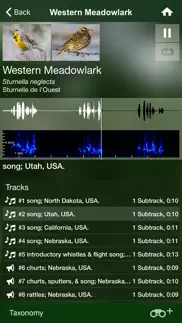bird songs usa & canada (3100) iphone screenshot 4