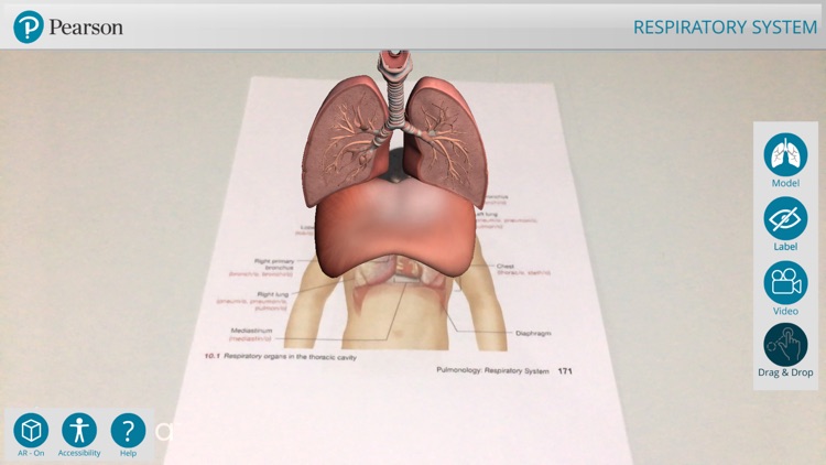 Pearson's Off the Page screenshot-8