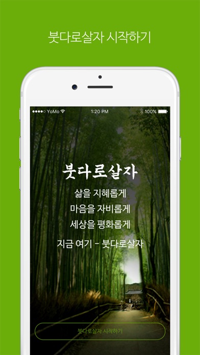 붓다로살자 screenshot 2