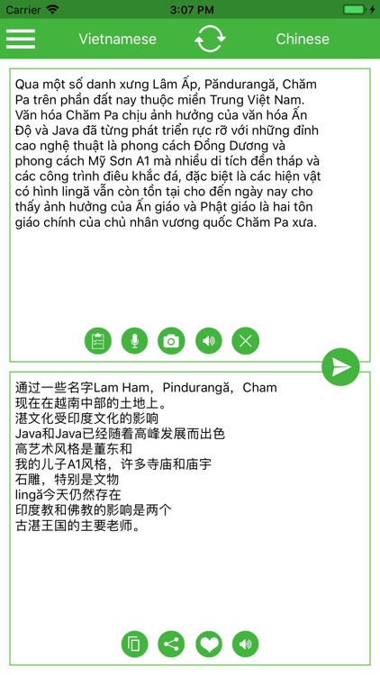 Vietnamese-Chinese Translator screenshot-8