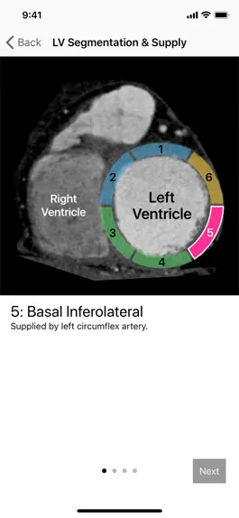 Game screenshot Cardiac Imaging Planes 1-2-3 apk