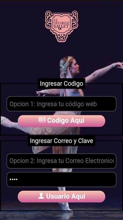 Le Studio de Ballet Movil