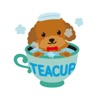 Cute Teacup Poodle Dog Sticker