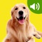 Icon Best Dog Sounds