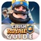 Pro Guide for Clash Royale