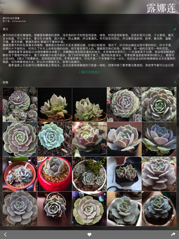 Screenshot #6 pour 多肉植物