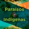 Viaja por todo México, encuentra los destinos más populares y conoce los paraísos indígenas de forma interactiva