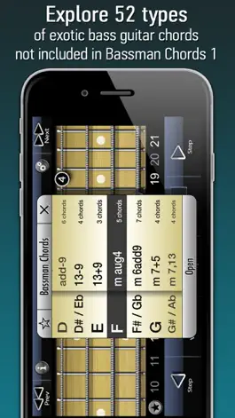 Game screenshot Bassman Chords 2 apk