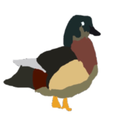 Wood Duck Simulator