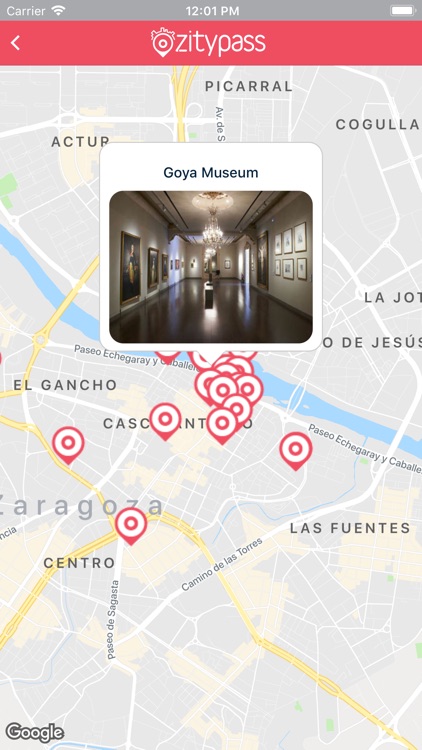 Zitypass screenshot-5