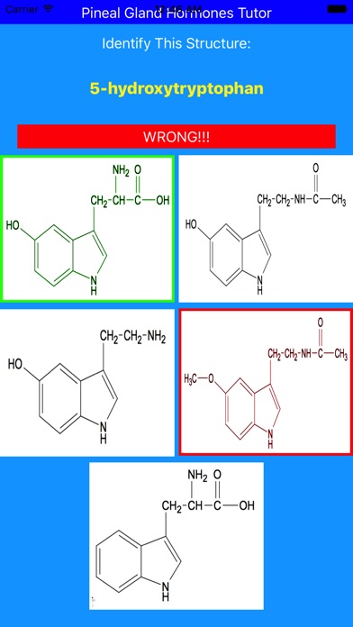 Pineal Gland Hormones Tutor screenshot 2