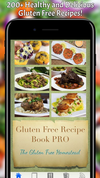 Gluten Free Recipe Book Pro Screenshot